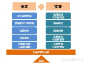 199IT企業(yè)軟件開發(fā)洞察 趨勢、挑戰(zhàn)與未來路徑